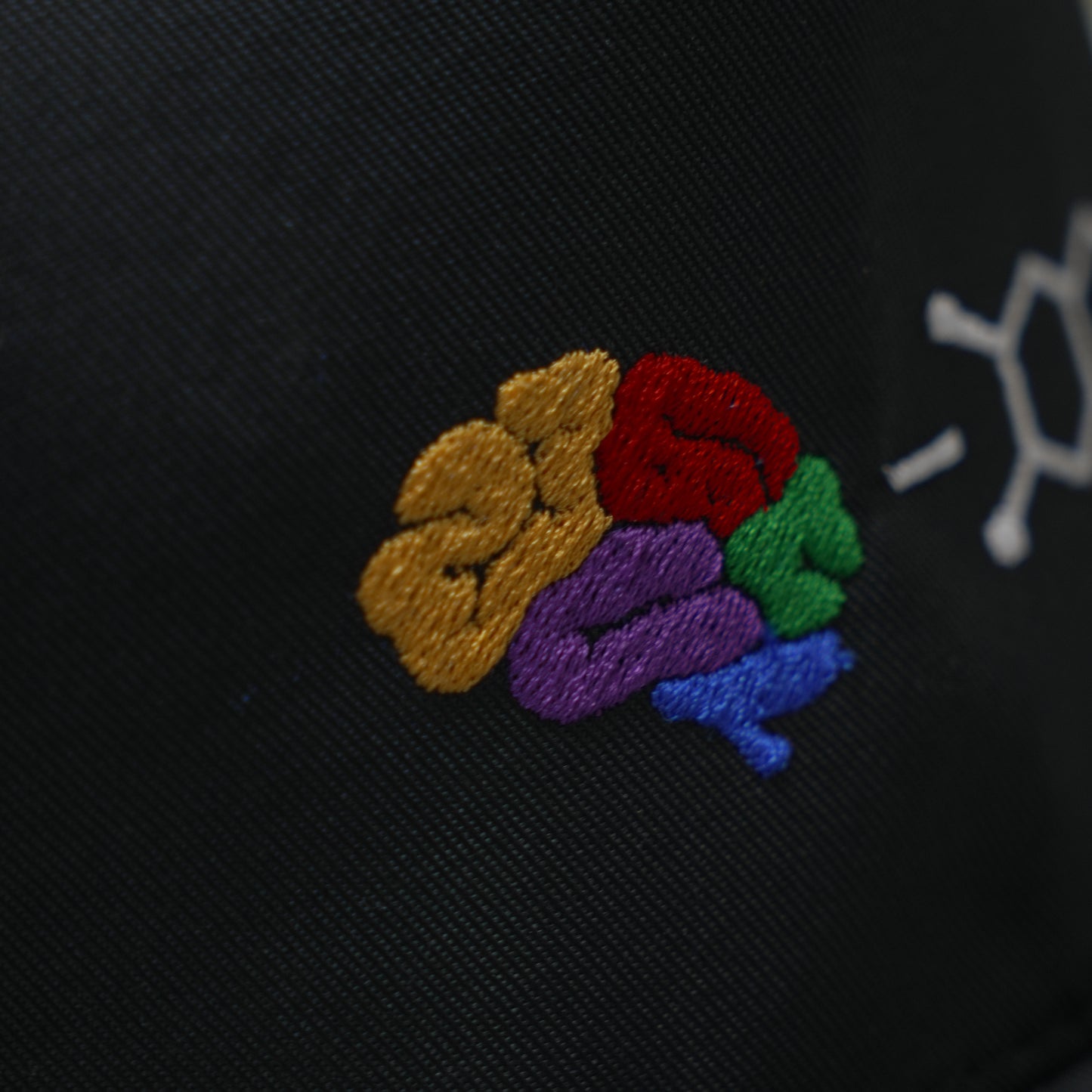 Focus (LIMITED EDITION) Cap